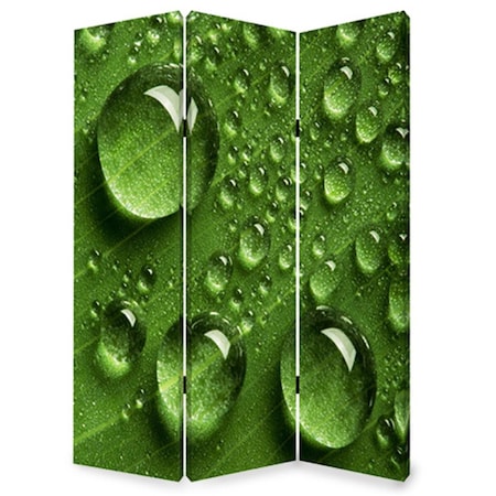 Palacedesigns 1 x 48 x 72 in. Wood Canvas Rain Screen Multi Color PA3671688